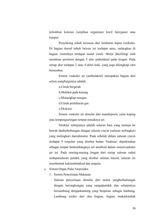 tertimbun kotoran (serpihan organisme kecil lain),pasir atau
   lumpur.
          Penyokong tubuh tersusun dari lembaran kapur (osikula).
   Di bagian dorsal tubuh hewan ini terdapat anus, sedangkan di
   bagian ventralnya terdapat mulut (oral). Mulut dikelilingi oleh
   membran peristom dengan 5 alur ambulakral pada lengan. Pada
   setiap alur terdapat 2 atau 4 deret kaki, yang juga dilengkapi otot
   berserabut.
          Sistem vaskuler air (ambulakral) merupakan bagian dari
   selom yangfungsinya adalah:
          a.Untuk bergerak
          b.Melekat pada karang
          c.Menangkap mangsa
          d.Untuk pertukaran gas
          e.Ekskresi
          Sistem vaskuler air dimulai dari mandreporit, yaitu keping
   atau lempengsaringan tempat masuknya air.
          Struktur selanjutnya adalah saluran batu yang menuju ke
   bawah danberhubungan dengan saluran cincin (saluran melingkar)
   yang melingkari daerahmulut. Pada sebelah dalam saluran cincin
   terdapat 9 tonjolan yang disebut badan Tiedman; diperkirakan
   sebagai tempat berkembangnya sel ameboid dalam sistemvaskuler
   air ini. Pada masing-masing lengan dari setiap saluran radial
   terdapatsaluran pendek yang disebut saluran lateral; saluran ini
   membentuk kakiambulakral dan ampula.
c. Sistem Organ Pada Asteroidea
   1. Sistem Pencernaan Makanan
      Saluran pencernaan dimulai dari mulut yangberhubungan
      dengan kerongkongan yang sangatpendek dan selanjutnya
      bersambung dengankantung yang berperan sebagai lambung.
      Lambung terdiri dari dua bagian, bagian muka(kardiak


                                                                   24
 