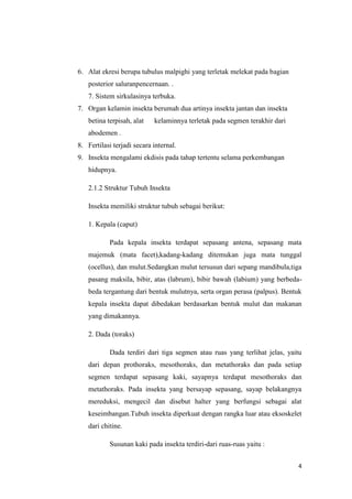 6. Alat ekresi berupa tubulus malpighi yang terletak melekat pada bagian
    posterior saluranpencernaan. .
    7. Sistem sirkulasinya terbuka.
7. Organ kelamin insekta berumah dua artinya insekta jantan dan insekta
    betina terpisah, alat   kelaminnya terletak pada segmen terakhir dari
    abodemen .
8. Fertilasi terjadi secara internal.
9. Insekta mengalami ekdisis pada tahap tertentu selama perkembangan
    hidupnya.

    2.1.2 Struktur Tubuh Insekta

    Insekta memiliki struktur tubuh sebagai berikut:

    1. Kepala (caput)

            Pada kepala insekta terdapat sepasang antena, sepasang mata
    majemuk (mata facet),kadang-kadang ditemukan juga mata tunggal
    (ocellus), dan mulut.Sedangkan mulut tersusun dari sepang mandibula,tiga
    pasang maksila, bibir, atas (labrum), bibir bawah (labium) yang berbeda-
    beda tergantung dari bentuk mulutnya, serta organ perasa (palpus). Bentuk
    kepala insekta dapat dibedakan berdasarkan bentuk mulut dan makanan
    yang dimakannya.

    2. Dada (toraks)

            Dada terdiri dari tiga segmen atau ruas yang terlihat jelas, yaitu
    dari depan prothoraks, mesothoraks, dan metathoraks dan pada setiap
    segmen terdapat sepasang kaki, sayapnya terdapat mesothoraks dan
    metathoraks. Pada insekta yang bersayap sepasang, sayap belakangnya
    mereduksi, mengecil dan disebut halter yang berfungsi sebagai alat
    keseimbangan.Tubuh insekta diperkuat dengan rangka luar atau eksoskelet
    dari chitine.

            Susunan kaki pada insekta terdiri-dari ruas-ruas yaitu :


                                                                            4
 