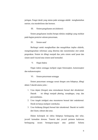 jaringan. Fungsi darah yang utama pada serangga adalah menghantarkan
nutrien, sisa merabolisme dan hormon.

        III.    Sistem pengeluaran zat (ekskresi)

       Sistem pengeluaran insekta berupa tubulus malphigi yang melekat
pada bagian posterior saluran pencernaan.

        IV.     Sistem saraf

       Berfungsi untuk menghasilkan dan mengalirkan implus elektrik,
mengintegrasikan informasi yang diterima dan menstimulasi otot untuk
pergerakan. Sistem ini dibagi menjadi dua yaitu sistem saraf pusat dan
sistem saraf visceral atau sistem saraf stomodial.

         V.     Organ Indera

       Organ indera serangga meliputi organ fotoreseptor, kemoreseptor
dan mekanoreseptor.

        VI.     Sistem pencernaan serangga

       Sistem pencernaan serangga sesuai dengan cara hidupnya, dibagi
dalam 3 daerah utama yaitu :

   1. Usus depan (foregut) atau stomodaeum berasal dari ektodermal.
       Daerah        ini dibagi menjadi pharing, oesophagus, crop, dan
       proventrikulus.
   2. Usus tengah (midgut) atau mesenteron berasal dari endodermal.
       Derah ini hanya meliputi ventrikulus.
   3. Usus belakang (hingut) berasal dari ektodermal. Daerah ini terdiri
       dari ileum, rektum dan anus.

       Dalam kelompok ini siklus hidupnya berlangsung dari telur,
juvenil kemudian dewasa. Transisi dari juvenil pertama kedewasa
berlangsung      secara    berangsur-angsur     atau   gradual.   Selama



                                                                       6
 