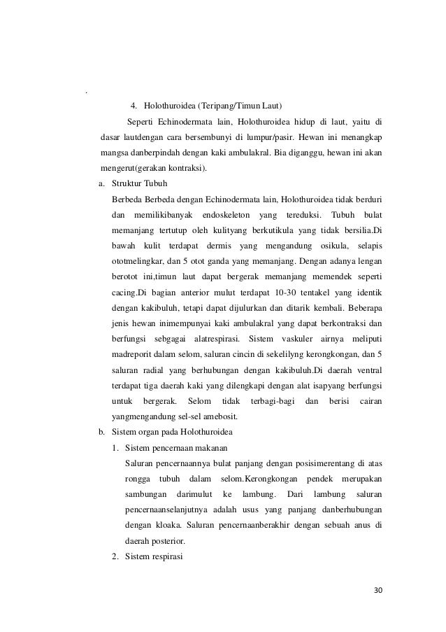 Makalah Insekta