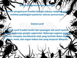 Sistem pengeluaran zat (ekskresi)

  Sistem pengeluaran insekta berupa tubulus malphigi yang
      melekat padabagian posterior saluran pencernaan.


                         Sistem saraf

  Sistem saraf insekta terdiri dari pasangan tali saraf ventral
dengan beberapa ganglia segmental. Beberapa segmen ganglia
anterior menyatu membentuk otak yang terletak dekat dengan
  anten, mata, dan organ indera lain yang terpusat dikepala.
 