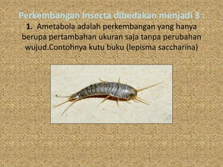 Perkembangan Insecta dibedakan menjadi 3 :
 1. Ametabola adalah perkembangan yang hanya
berupa pertambahan ukuran saja tanpa perubahan
 wujud.Contohnya kutu buku (lepisma saccharina)
 