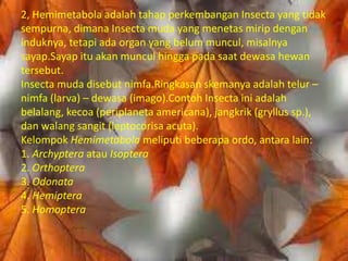 2, Hemimetabola adalah tahap perkembangan Insecta yang tidak
sempurna, dimana Insecta muda yang menetas mirip dengan
induknya, tetapi ada organ yang belum muncul, misalnya
sayap.Sayap itu akan muncul hingga pada saat dewasa hewan
tersebut.
Insecta muda disebut nimfa.Ringkasan skemanya adalah telur –
nimfa (larva) – dewasa (imago).Contoh Insecta ini adalah
belalang, kecoa (periplaneta americana), jangkrik (gryllus sp.),
dan walang sangit (leptocorisa acuta).
Kelompok Hemimetabola meliputi beberapa ordo, antara lain:
1. Archyptera atau Isoptera
2. Orthoptera
3. Odonata
4. Hemiptera
5. Homoptera
 