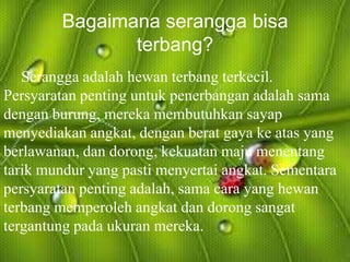 Bagaimana serangga bisa
               terbang?
   Serangga adalah hewan terbang terkecil.
Persyaratan penting untuk penerbangan adalah sama
dengan burung, mereka membutuhkan sayap
menyediakan angkat, dengan berat gaya ke atas yang
berlawanan, dan dorong, kekuatan maju menentang
tarik mundur yang pasti menyertai angkat. Sementara
persyaratan penting adalah, sama cara yang hewan
terbang memperoleh angkat dan dorong sangat
tergantung pada ukuran mereka.
 