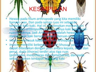 KESIMPULAN
• Hewan pada filum arthropoda yang kita memiliki
  banyak ruas. Dan pada setiap ruas ini sebagian
  terdapat kaki-kaki. Hal ini dikarenakan memang ciri
  utama dari arthropoda adalah adanya kaki pada ruas-
  ruas tubuhnya. Jadi Arthropoda adalah hewan yang
  mempunyai kaki bersendi-sendi (beruas-ruas).
• Insecta Termasuk kadalam Filum Arthopoda
• Insecta memiliki beberapa ciri-ciri khusus, yaitu: tubuh
  dapat dibedakan dengan jelas antara kepala, dada dan
  perut, dada (thorax) terdiri atas tiga ruas
  (prothorax, mesothorax dan metathorax), dan pada
  setiap segmen terdapat sepasang kaki
 