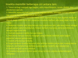 Insekta memiliki beberapa ciri antara lain:
1. Tubuh terbagi menjadi tiga bagian, yaitu kaput(kepala), toraks (dada), dan
abodemen (perut).
2. Memiliki sepasang kaki pada setiap segmen toraks, sehingga jumlah kakinya
tiga pasang dan berfungsi untuk berjalan .
3. Kebanyakan insekta memiliki sayap pada segmen kedua dan segmen ketiga di
daerah dada, pada jenis lain sayapnya tereduksi bahkan ada yang tidak memiliki
sayap.
4. Makanan insekta ada yang berupa sisa organisme lain, ada yang hidup sebagai
parasit dalam tubuh (tumbuhan, hewan bahkan manusia), serta bersimbiosis
dengan organisme lain.
5. Alat pernapasan insekta berupa trakea.
6. Alat ekresi berupa tubulus malpighi yang terletak melekat pada bagian
posterior saluran pencernaan .
7. Sistem sirkulasinya terbuka.
8. Organ kelamin insekta berumah dua artinya insekta jantan dan insekta betina
terpisah, alat kelaminnya terletak pada segmen terakhir dari abodemen .
9. Fertilasi terjadi secara internal.
10. Insekta mengalami ekdisis pada tahap tertentu selama perkembangan
hidupnya.
 