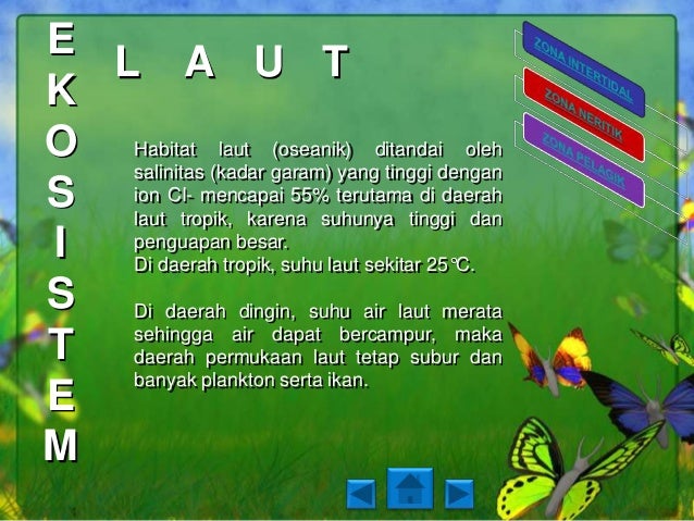 Ekosistem kuatik dan ekosistem buatan (nendra, nurlita 