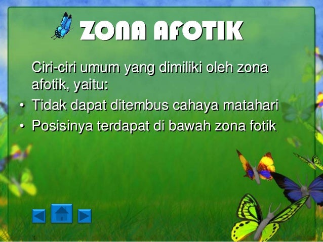 Ekosistem kuatik dan ekosistem buatan (nendra, nurlita 