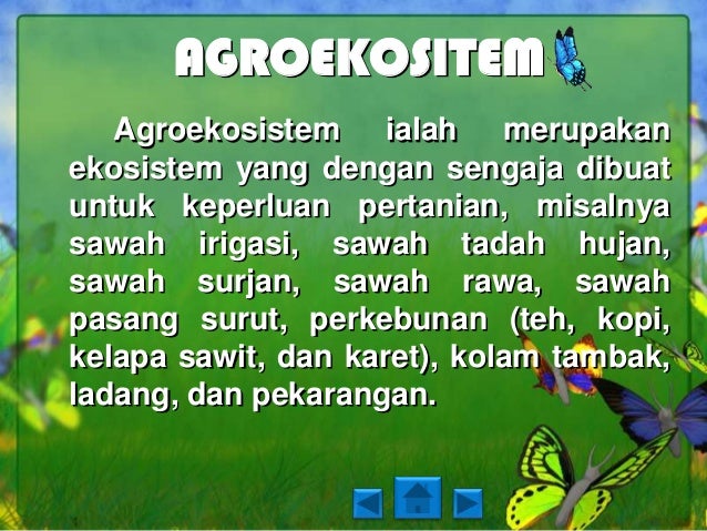 Ekosistem kuatik dan ekosistem buatan (nendra, nurlita 