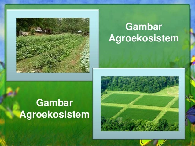Ekosistem kuatik dan ekosistem buatan (nendra, nurlita 