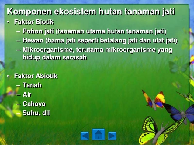 Ekosistem kuatik dan ekosistem buatan (nendra, nurlita 