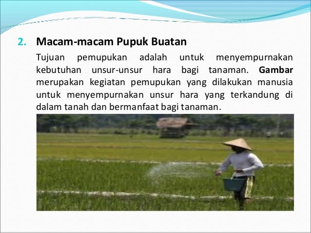 Peranan Ilmu Kimia Dalam Bidang Pertanian