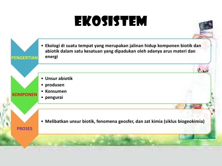 Download 560 Koleksi Gambar Ekosistem Lingkungan Hidup Paling Bagus 