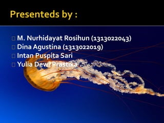 M. Nurhidayat Rosihun (1313022043) 
Dina Agustina (1313022019) 
Intan Puspita Sari 
Yulia Dewi Prastika 
 