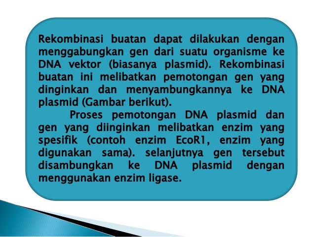 Rekombinasi, Transkripsi dan Translasi