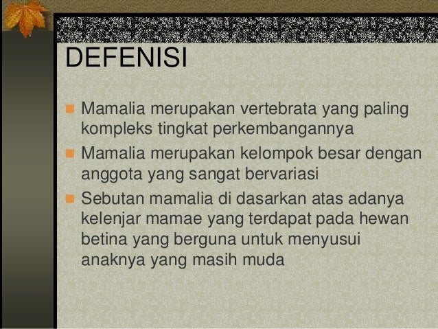 Kelompok 8 mamalia darat (ukuran besar)