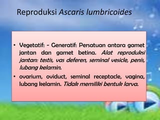 Reproduksi Ascaris lumbricoides


• Vegetatif: - Generatif: Persatuan antara gamet
  jantan dan gamet betina. Alat reproduksi
  jantan: testis, vas deferen, seminal vesicle, penis,
  lubang kelamin.
• ovarium, oviduct, seminal receptacle, vagina,
  lubang kelamin. Tidak memiliki bentuk larva.
 