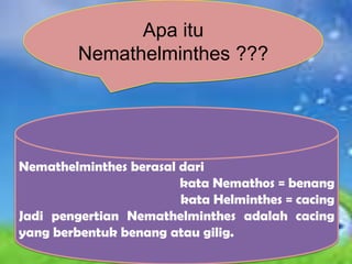 Apa itu
         Nemathelminthes ???




Nemathelminthes berasal dari
                        kata Nemathos = benang
                        kata Helminthes = cacing
Jadi pengertian Nemathelminthes adalah cacing
yang berbentuk benang atau gilig.
 