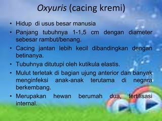 Oxyuris (cacing kremi)
• Hidup di usus besar manusia
• Panjang tubuhnya 1-1,5 cm dengan diameter
  sebesar rambut/benang.
• Cacing jantan lebih kecil dibandingkan dengan
  betinanya.
• Tubuhnya ditutupi oleh kutikula elastis.
• Mulut terletak di bagian ujung anterior dan banyak
  menginfeksi anak-anak terutama di negara
  berkembang.
• Merupakan hewan berumah dua, fertilisasi
  internal.
 