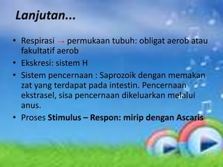 Lanjutan...
• Respirasi permukaan tubuh: obligat aerob atau
  fakultatif aerob
• Ekskresi: sistem H
• Sistem pencernaan : Saprozoik dengan memakan
  zat yang terdapat pada intestin. Pencernaan
  ekstrasel, sisa pencernaan dikeluarkan melalui
  anus.
• Proses Stimulus – Respon: mirip dengan Ascaris
 
