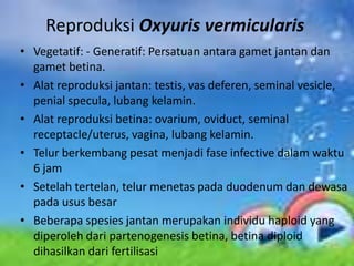 Reproduksi Oxyuris vermicularis
• Vegetatif: - Generatif: Persatuan antara gamet jantan dan
  gamet betina.
• Alat reproduksi jantan: testis, vas deferen, seminal vesicle,
  penial specula, lubang kelamin.
• Alat reproduksi betina: ovarium, oviduct, seminal
  receptacle/uterus, vagina, lubang kelamin.
• Telur berkembang pesat menjadi fase infective dalam waktu
  6 jam
• Setelah tertelan, telur menetas pada duodenum dan dewasa
  pada usus besar
• Beberapa spesies jantan merupakan individu haploid yang
  diperoleh dari partenogenesis betina, betina diploid
  dihasilkan dari fertilisasi
 