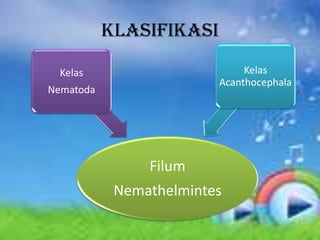 Klasifikasi

  Kelas                       Kelas
                         Acanthocephala
Nematoda




                Filum
            Nemathelmintes
 