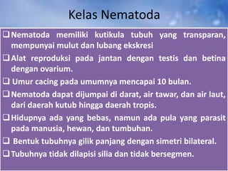 Kelas Nematoda
 Nematoda memiliki kutikula tubuh yang transparan,
  mempunyai mulut dan lubang ekskresi
Alat reproduksi pada jantan dengan testis dan betina
  dengan ovarium.
 Umur cacing pada umumnya mencapai 10 bulan.
Nematoda dapat dijumpai di darat, air tawar, dan air laut,
  dari daerah kutub hingga daerah tropis.
 Hidupnya ada yang bebas, namun ada pula yang parasit
  pada manusia, hewan, dan tumbuhan.
 Bentuk tubuhnya gilik panjang dengan simetri bilateral.
 Tubuhnya tidak dilapisi silia dan tidak bersegmen.
 