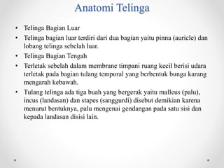 Anatomi Telinga
• Telinga Bagian Luar
• Telinga bagian luar terdiri dari dua bagian yaitu pinna (auricle) dan
lobang telinga sebelah luar.
• Telinga Bagian Tengah
• Terletak sebelah dalam membrane timpani ruang kecil berisi udara
terletak pada bagian tulang temporal yang berbentuk bunga karang
mengarah kebawah.
• Tulang telinga ada tiga buah yang bergerak yaitu malleus (palu),
incus (landasan) dan stapes (sanggurdi) disebut demikian karena
menurut bentuknya, palu mengenai gendangan pada satu sisi dan
kepada landasan disisi lain.
 