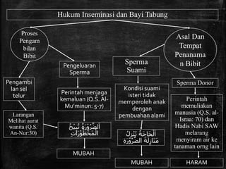 Presentasi Masail FIqhiyah tentang Inseminasi, Bayi Tabung ...