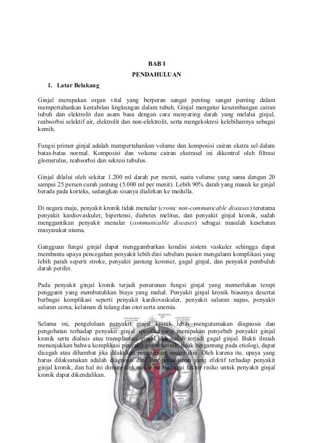 Download 96 Koleksi Gambar Ginjal Secara Morfologi Terbaik Gratis HD