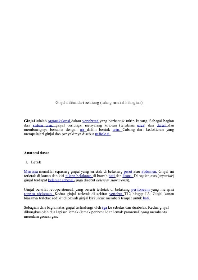 Download 96 Koleksi Gambar Ginjal Secara Morfologi Terbaik Gratis HD