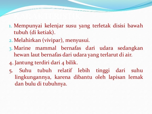 Kelompok 9 mamalia air (tawar)