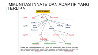 IMMUNITAS INNATE DAN ADAPTIF YANG
TERLIBAT
 