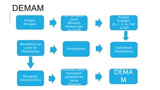 DEMAM
Pirogen
Eksogen
DEMA
M
Produksi panas
meningkat,
pengeluaran
panas
menurun
Menggigil,
Vasokonstriksi
Menaikkan set
point di
Hipotalamus
Endotelium
Hipotalamus
Prostatlandin
Pirogen
Endogen
(IL-1, IL-6, TNF
, & INF)
Sel-sel darah
putih
(Monosit,
limfosit dan
neutrofil)
 