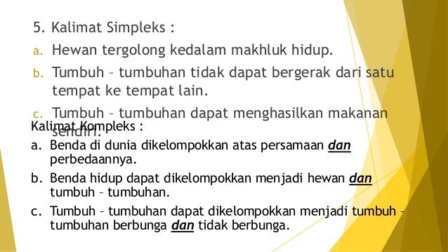 Teks Laporan Hasil Observasi 48220085