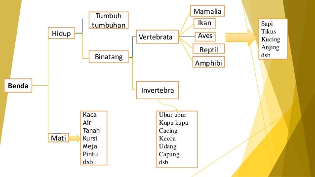 Teks Laporan Hasil Observasi