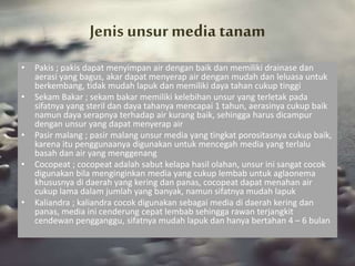• Pakis ; pakis dapat menyimpan air dengan baik dan memiliki drainase dan
aerasi yang bagus, akar dapat menyerap air dengan mudah dan leluasa untuk
berkembang, tidak mudah lapuk dan memiliki daya tahan cukup tinggi
• Sekam Bakar ; sekam bakar memiliki kelebihan unsur yang terletak pada
sifatnya yang steril dan daya tahanya mencapai 1 tahun, aerasinya cukup baik
namun daya serapnya terhadap air kurang baik, sehingga harus dicampur
dengan unsur yang dapat menyerap air
• Pasir malang ; pasir malang unsur media yang tingkat porositasnya cukup baik,
karena itu penggunaanya digunakan untuk mencegah media yang terlalu
basah dan air yang menggenang
• Cocopeat ; cocopeat adalah sabut kelapa hasil olahan, unsur ini sangat cocok
digunakan bila menginginkan media yang cukup lembab untuk aglaonema
khususnya di daerah yang kering dan panas, cocopeat dapat menahan air
cukup lama dalam jumlah yang banyak, namun sifatnya mudah lapuk
• Kaliandra ; kaliandra cocok digunakan sebagai media di daerah kering dan
panas, media ini cenderung cepat lembab sehingga rawan terjangkit
cendewan pengganggu, sifatnya mudah lapuk dan hanya bertahan 4 – 6 bulan
 