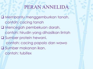 PERAN ANNELIDA
 Membantu menggemburkan tanah.
contoh: cacing tanah
 Mencegah pembekuan darah.
contoh: hirudin yang dihasilkan lintah
 Sumber protein hewani.
contoh: cacing papolo dan wawo
 Sumber makanan ikan.
contoh: tubifex
 