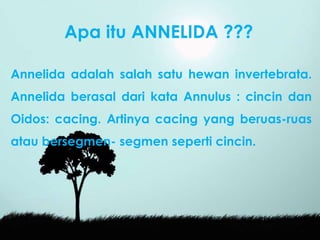 Apa itu ANNELIDA ???
Annelida adalah salah satu hewan invertebrata.
Annelida berasal dari kata Annulus : cincin dan
Oidos: cacing. Artinya cacing yang beruas-ruas
atau bersegmen- segmen seperti cincin.
 