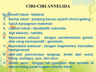 CIRI-CIRI ANNELIDA
1. Simetri tubuh : bilateral
2. Bentuk tubuh : panjang beruas seperti cincin/gelang
3. Tubuh bersegmen metameri
4. Lapisan tubuh : tripoblastik celomata
5. Alat ekskresi : nefridia
6. Reproduksi seksual : dengan pembentukan gamet.
Ada yang hermaprodit / gonokoris.
7. Reproduksi aseksual : dengan fragmentasi, kemudian
beregenerasi
8. Alat-alat pencernaan lengkap, terdiri dari mulut,
faring, esofagus, usus, dan anus.
9. Sistem saraf : tangga tali (ganglion otak terletak di
depan faring pada bagian anterior tubuh.
 
