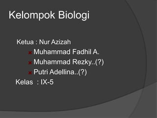 Kelompok Biologi

 Ketua : Nur Azizah
      Muhammad Fadhil A.
      Muhammad Rezky..(?)
      Putri Adellina..(?)
 Kelas : IX-5
 