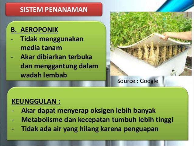 Kelompok bioteknologi