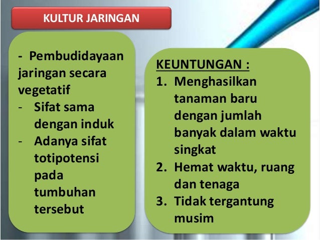 Kelompok bioteknologi