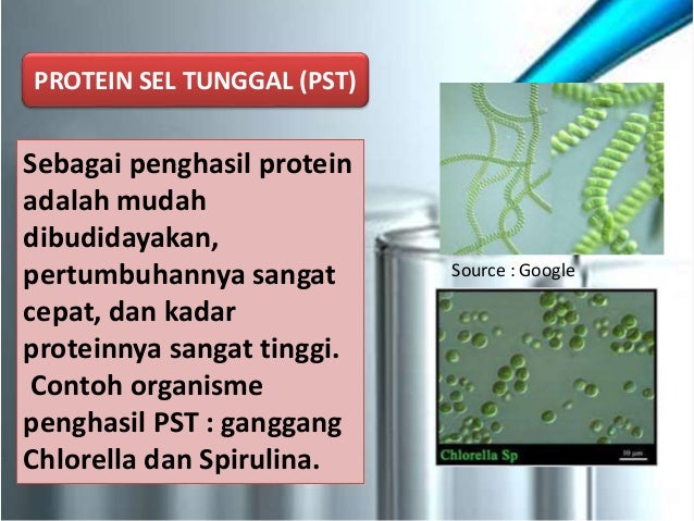 Kelompok bioteknologi