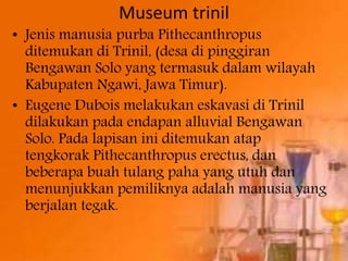 Manusia Purba Di Indonesia | PPTX