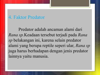 4. Faktor Predator
Predator adalah ancaman alami dari
Rana sp.Keadaan tersebut terjadi pada Rana
sp belakangan ini, karena selain predator
alami yang berupa reptile seperi ular, Rana sp
juga harus berhadapan dengan jenis predator
lainnya yaitu manusia.
 