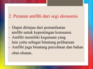 2. Peranan amfibi dari segi ekonomis
- Dapat ditinjau dari pemanfaatan
amfibi untuk kepentingan konsumsi.
- Amfibi memiliki kegunaan yang
lain yaitu sebagai binatang peliharaan
- Amfibi juga binatang percobaan dan bahan
obat-obatan.
 