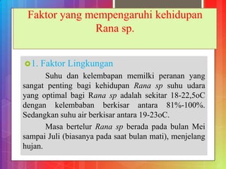 1. Faktor Lingkungan
Suhu dan kelembapan memilki peranan yang
sangat penting bagi kehidupan Rana sp suhu udara
yang optimal bagi Rana sp adalah sekitar 18-22,5oC
dengan kelembaban berkisar antara 81%-100%.
Sedangkan suhu air berkisar antara 19-23oC.
Masa bertelur Rana sp berada pada bulan Mei
sampai Juli (biasanya pada saat bulan mati), menjelang
hujan.
Faktor yang mempengaruhi kehidupan
Rana sp.
 