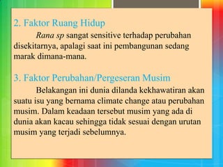2. Faktor Ruang Hidup
Rana sp sangat sensitive terhadap perubahan
disekitarnya, apalagi saat ini pembangunan sedang
marak dimana-mana.
3. Faktor Perubahan/Pergeseran Musim
Belakangan ini dunia dilanda kekhawatiran akan
suatu isu yang bernama climate change atau perubahan
musim. Dalam keadaan tersebut musim yang ada di
dunia akan kacau sehingga tidak sesuai dengan urutan
musim yang terjadi sebelumnya.
 