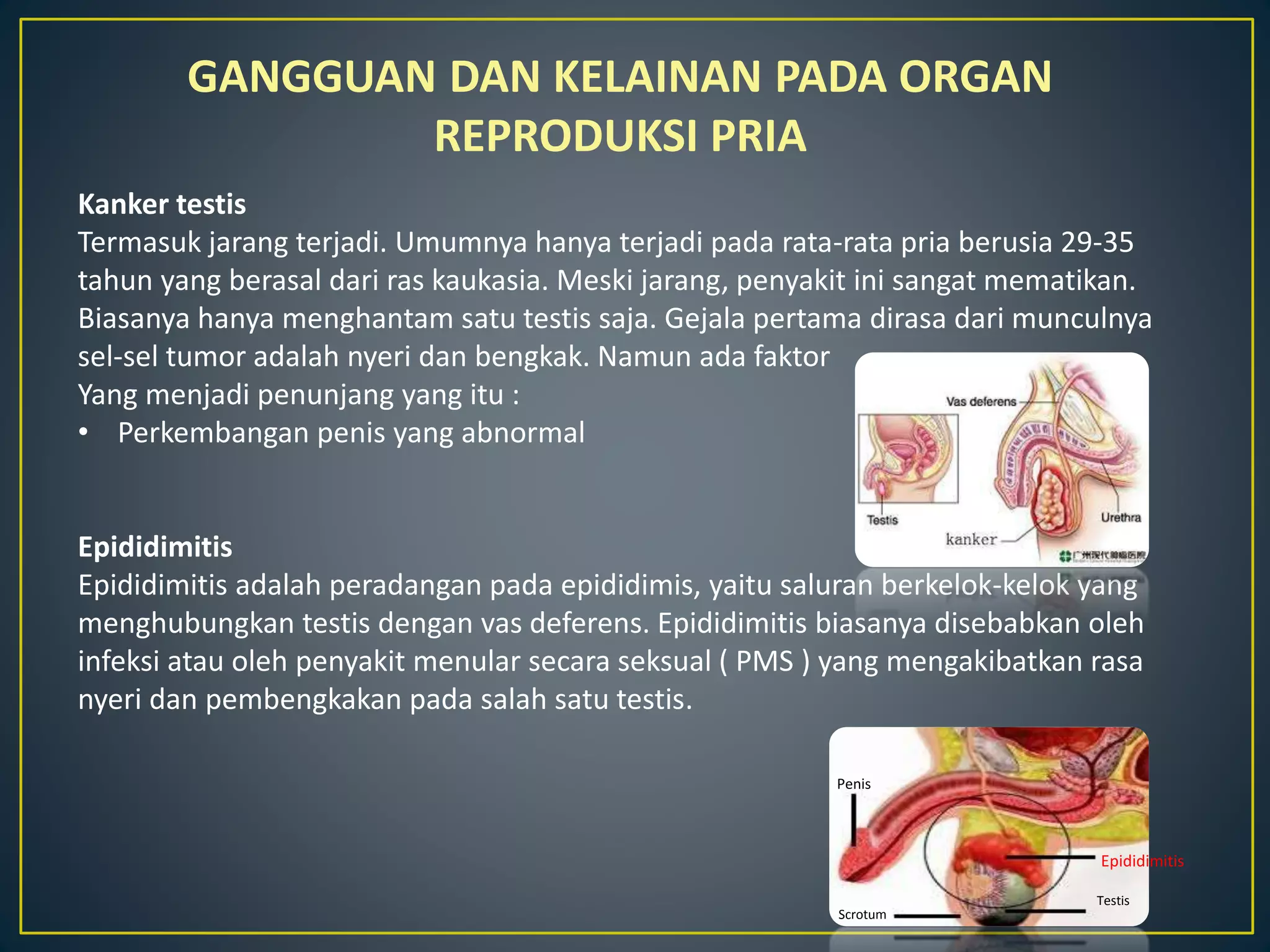 Sistem Organ Reproduksi Pria | PPTX